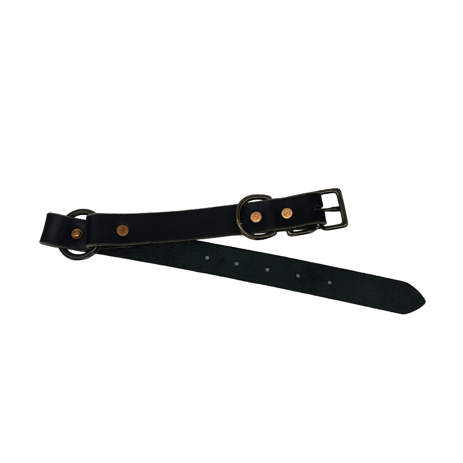 Full-Grain Leather Dog Collar