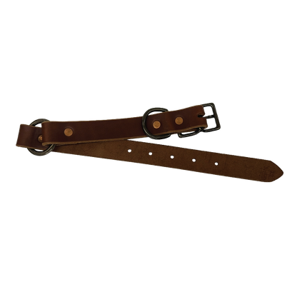 Full-Grain Leather Dog Collar
